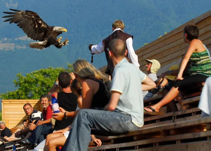 Apartament Clara By Fewotessin *