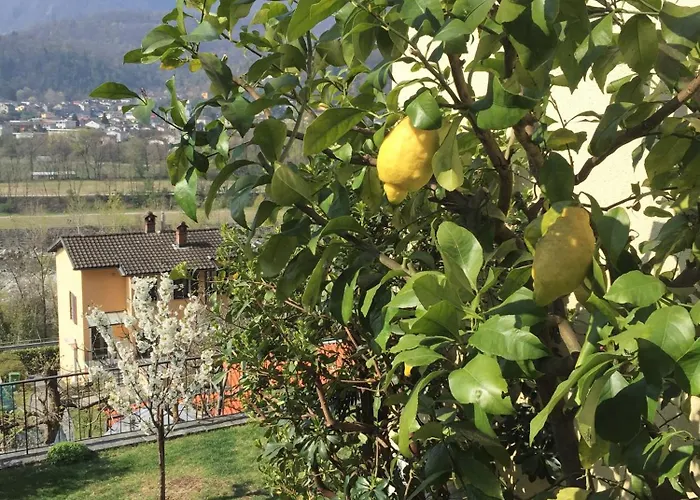 Clara By Fewotessin * ロゾネ