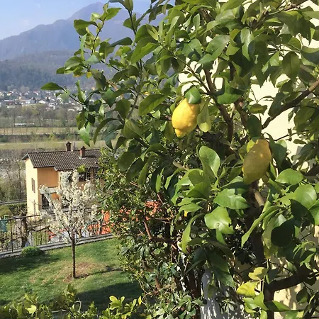 Clara By Fewotessin * Losone