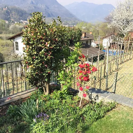 Clara By Fewotessin Apartamento *